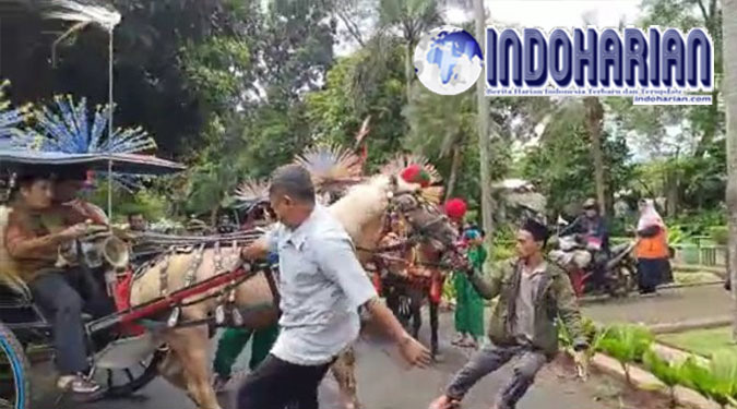 Viral Anies Naik Delman, Kudanya Mundur Viral Anies Naik Delman, Kudanya Mundur