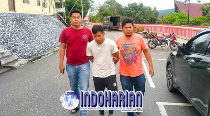 Atlet MMA Elipitua Siregar Divonis 2 Tahun Penjara Atlet MMA Elipitua Siregar Divonis 2 Tahun Penjara
