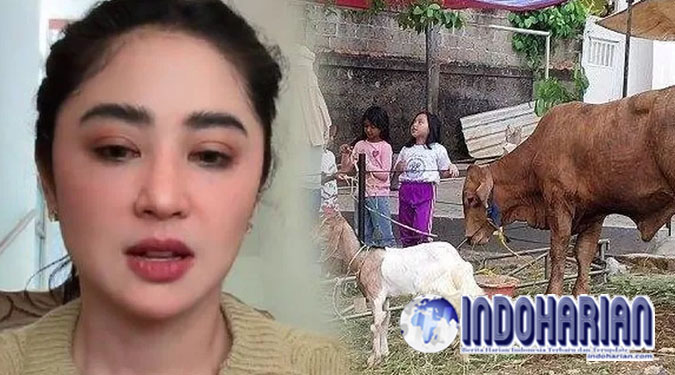 Teriak-Teriakan Di Mediasi Sapi Kurban Dewi Perssik