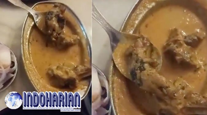 Pengunjung Protes Temukan Tikus Mati Di Makanan Pengunjung Protes Temukan Tikus Mati Di Makanan