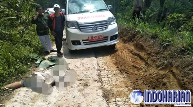 Berita Dunia Terbaru, Berita hari ini, Berita Indonesia Terbaru, Berita Terkini, berita terupdate, Indoharian, news, Politik, Terkini, Terupdate serta Analisis dari INDOHARIAN.comBerita Dunia Terbaru, Berita hari ini, Berita Indonesia Terbaru, Berita Terkini, berita terupdate, Indoharian, news, Politik, Terkini, Terupdate serta Analisis dari INDOHARIAN.comx