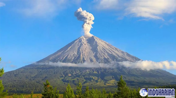 Gunung Semeru Erupsi 10 Kali, Semburkan Abu Setinggi 1.100 Meter