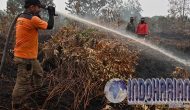 Solusi Jokowi Atasi Karhutla, Berfaedahkah? Solusi Jokowi Atasi Karhutla, Berfaedahkah?