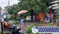 Permalink to Santunan Korban Pohon Tumbang Di DKI Jakarta
