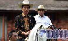 Permalink to Jokowi Soal Indonesia Hijrah, Prabowo: Jangan Sok Pahlawan