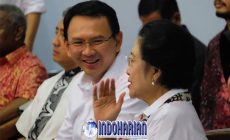 Permalink to Megawati Cerita Ahok Mundur dari Pertamina