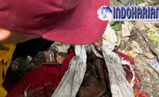 Permalink to Panik! Tengkorak Jatuh Dari Mobil Di Tol Cikupa