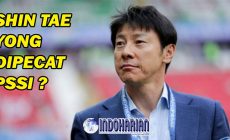 Permalink to PSSI Pecat Shin Tae-yong, PSSI Ungkap Alasannya