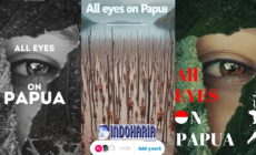 Permalink to All Eyes on Papua Trending Di Media Sosial Penyerobotan Hutan