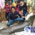 Permalink to Viral!!! Ikan Arapaima Raksasa Yang Menggegerkan Warga