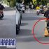 Permalink to Viral Aksi Pemotor Seret Anjing Di Jalanan Bali