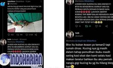 Permalink to Waspada! Banyak Penipuan Open Donasi Palsu Untuk Anabul