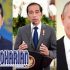 Permalink to Tawaran Jokowi Ke Zelensky Dan Putin : Koridor Pangan