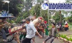 Permalink to Viral Anies Naik Delman, Kudanya Mundur