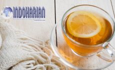 Permalink to 5 Minuman Pereda Flu Yang Sangat Bermanfaat