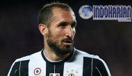 Permalink to Ini Kata Chiellini Soal Juventus Yang Belum Bangkit