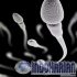 Permalink to 5 Penyebab Sperma Encer Yang Harus Kalian Ketahui