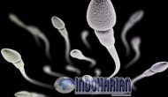 Permalink to 5 Penyebab Sperma Encer Yang Harus Kalian Ketahui