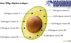 Permalink to Nutrisi Dan Manfaat Alpukat Untuk Menurunkan Berat Badan