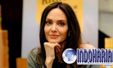 Permalink to Profil Angelina Jolie Disorot Usai Perdana Eternals