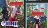 Permalink to Pamer Buruan Burung Rangkong Di Sosmed, Pria Aceh Ditangkap