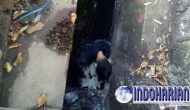 Permalink to Heboh! Ditemukan Mayat Berdiri di Got Semarang