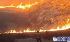 Permalink to Bukit Teletubbis Bromo Terbakar Gegara Flare Prewed