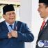 Permalink to Kata Politikus PDIP Basis Jokowi Dukung Prabowo
