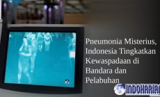 Permalink to Virus Pneumonia Misterius Kembali Muncul Di China