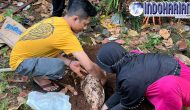 Permalink to Kuburan Misterius Dipemakaman Keluarga Di Bogor