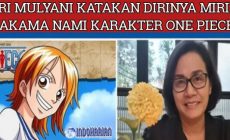 Permalink to Nami Navigator One Piece Disebut Mirip Sri Mulyani