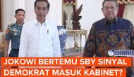 Permalink to Viral! Apa Benar Isu Demokrat masuk kabinet Jokowi