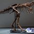 Permalink to Fosil Dinosaurus Gorgosaurus Dilelang Dengan Harga Rp.120 Milliar