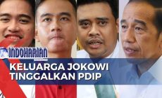 Permalink to Jokowi Pisah Dengan PDIP, Ini Kata Adi Prayitno
