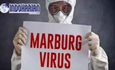 Permalink to Geger Virus Marburg Menyebar Luas di Afrika