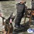 Permalink to Polisi Pakai Anjing Pelacak, Untuk Cari Korban Hilang NTT