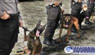 Permalink to Polisi Pakai Anjing Pelacak, Untuk Cari Korban Hilang NTT