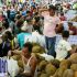 Permalink to Kabar Gembira Bagi Pecinta Buah Durian, Blok M Square Adakan Durian Fair