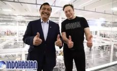 Permalink to Luhut Rayu Tesla Untuk Bikin Pabrik Di Indonesia Pasti Akan Untung
