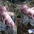 Permalink to Heboh Anak Babi Wajah Manusian Viral Di NTT