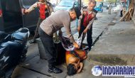 Permalink to Wanita Tidur di Trotoar, Ternyata Mabuk