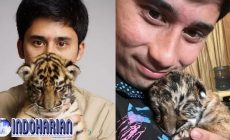Permalink to 7 Harimau Mati Alshad Ahmad Panen Cibiran Netizen